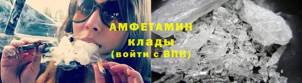 молекула духа Ельня