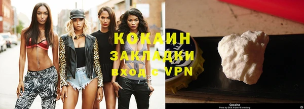 молекула духа Ельня