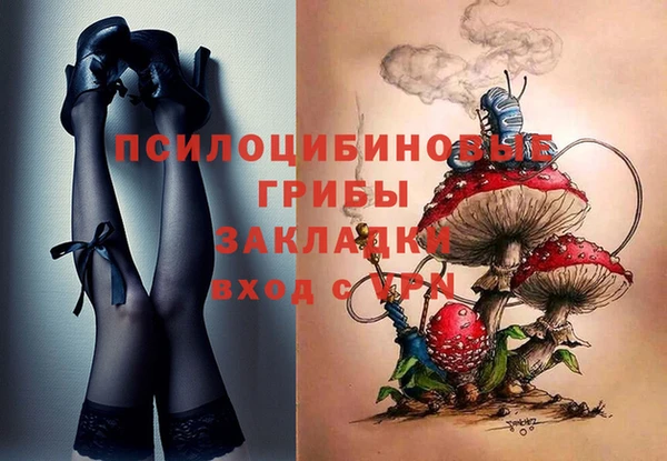 mdpv Елизово