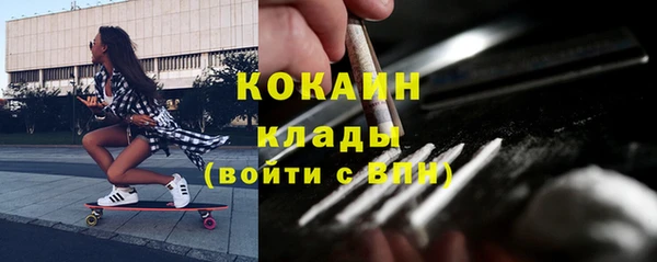 молекула духа Ельня