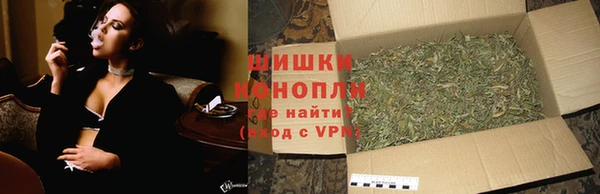 mdpv Елизово