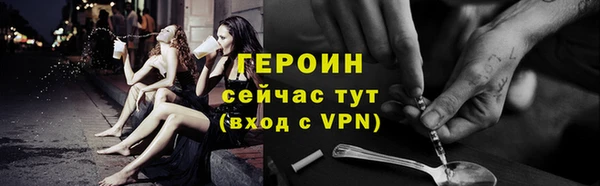 молекула духа Ельня