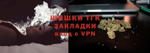 амф Елабуга
