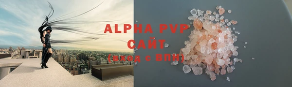 молекула духа Ельня