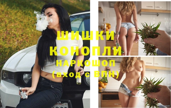 молекула духа Ельня