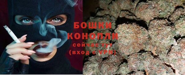 амф Елабуга