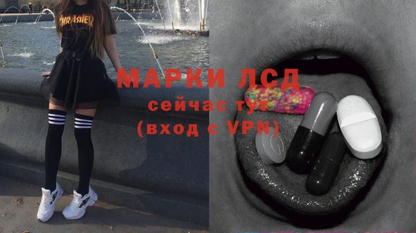 mdpv Елизово