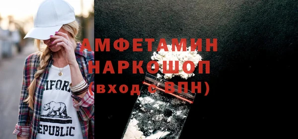 молекула духа Ельня