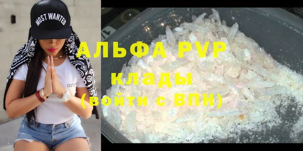 mdpv Елизово