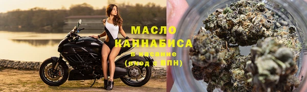 амф Елабуга